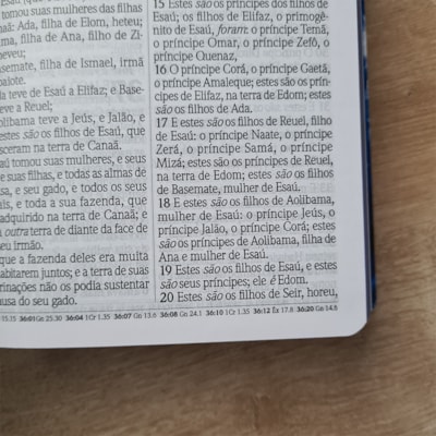 image_924c8f5b-c7d8-48c3-b387-0867189c973d