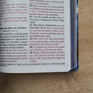 Bíblia do Culto com Harpa Cristã e Corinhos | ARC | Letras Gigante | Capa Semi-flexível Floral Azul