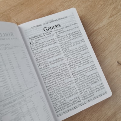 image_b3e8266e-4f47-4839-9593-d81dc2b553bd