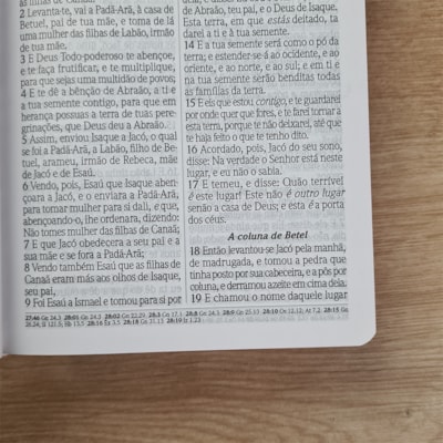 image_0ab0e613-990f-4b41-9298-9b3bfd6da1b4