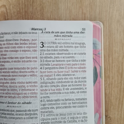 image_1b6208b6-c56d-423a-ae3f-f7e71f355842