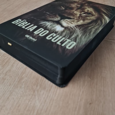 image_c7ceb004-f695-4d75-8b22-7c02b21bbe65