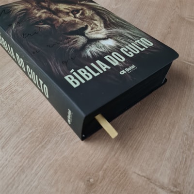 image_fbe6417f-0411-43d1-a46b-860156dc1359