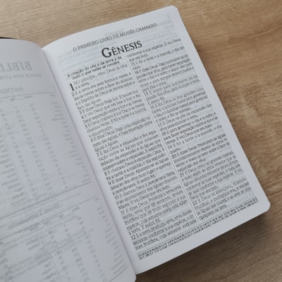 image_8067493d-ae34-4f04-bb9c-670eb4a96f4d