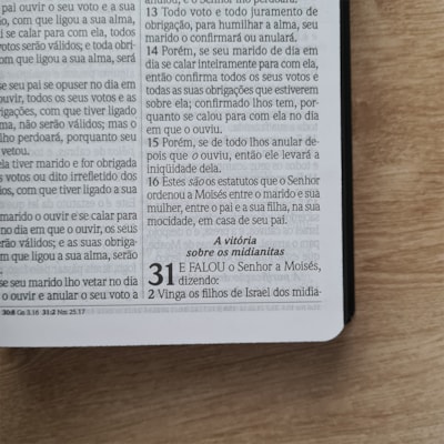 image_d341e93c-3032-4ddb-ac4c-eda472ecfa40