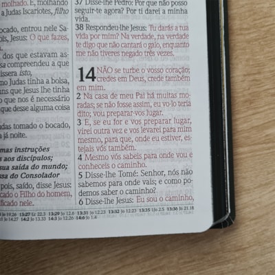 image_d8c5388a-a756-4555-b92e-a0e165032a4b