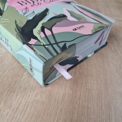 image_5dfcfc27-1cc8-4497-8949-d7d1cfa446ac