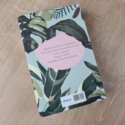 image_7556b910-7bda-4961-839d-7d0aa306d51f