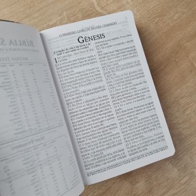 image_aca95268-b0e3-4348-ac96-c3595df7303c