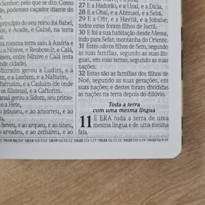 image_5341f996-2dee-4808-bccc-9ef0ba396ba7