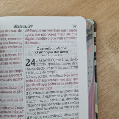 image_f4a8cfcf-0f97-471d-99b9-158fe5737136