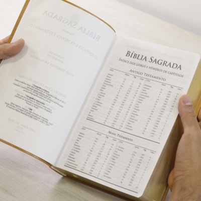 image_385d5f6d-46e6-4988-989a-d3316430bead