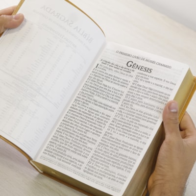 image_ef939d5c-aa1e-4bc4-82b2-63472f1ea1aa