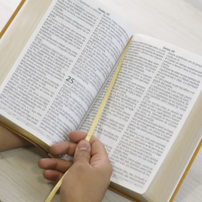 image_9b1ceb05-0f75-4385-93c6-3fec8fa94bf6