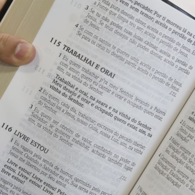 image_fe06b8ac-d12a-432e-851c-40bab7b253fb