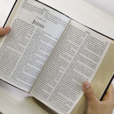 image_8c00a4fe-735b-4612-a6ee-0e80dd2d4be8