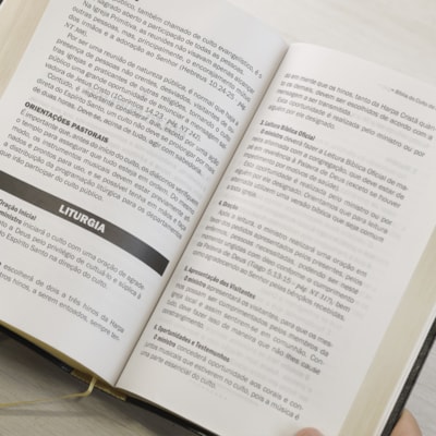 image_b52608fd-91e3-4c39-a256-1ea781233c0c