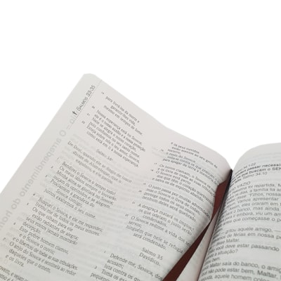 image_bece41d1-fac4-4a62-935d-a94a05a7cd21