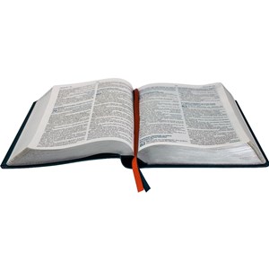 Bíblia do Jovem Pregador Pentecostal | ARC | Letra Normal | Capa Luxo Azul