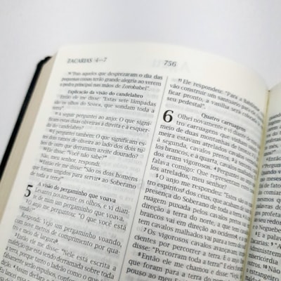 image_9496909d-582a-4ba7-92a5-9e178382c1ce