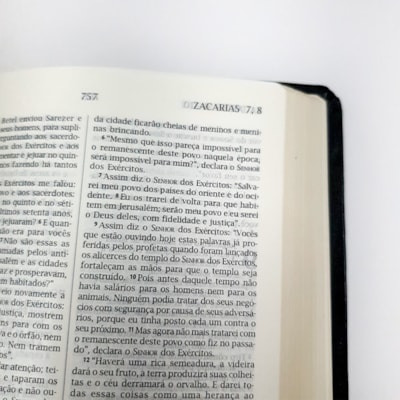 image_c5614257-7c84-4748-8462-f87eb3adb94c