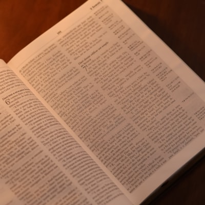 image_0d2ed8d8-c9a3-489c-bc06-2ef8ada65a36