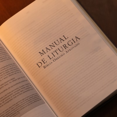 image_080b76a8-bd92-4148-a726-5e10803ac5b6