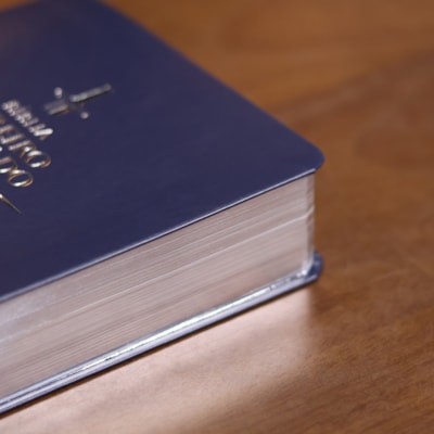 image_aa03074f-a92e-4249-b985-1c9d0ba44da8