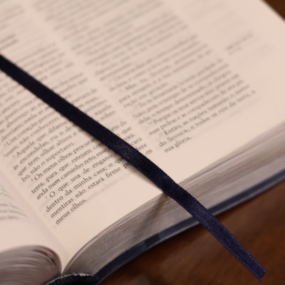 image_96660364-0d17-4b03-9023-10deb425177a