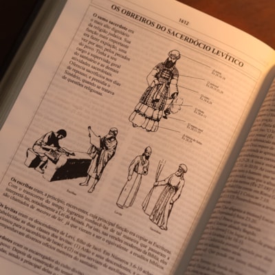 image_d0e412e8-9f7d-4225-8486-af088b56c2fc