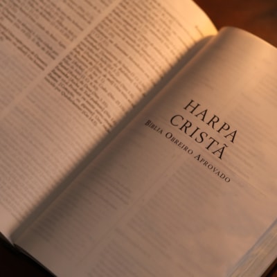 image_dea5fcec-2e1b-43d3-bd81-5bc662dbc861