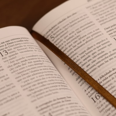 image_e045ca2a-a448-44fa-bcdb-da966324c23e