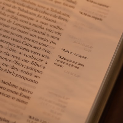 image_62e846e8-4427-47e7-b9d6-074e581fa6c9