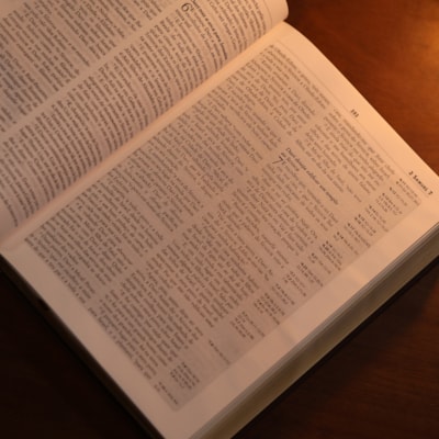 image_106e2668-8bda-4222-8b7e-a3a5a7822dd5