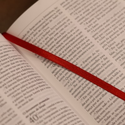 image_14b59624-1ed8-47db-bcb1-8e6e6cbb74ee