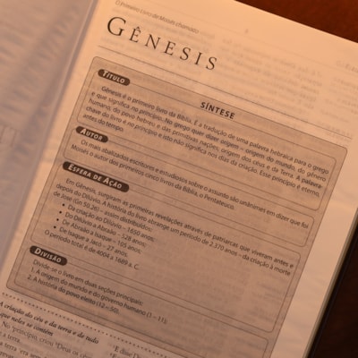 image_de14d828-d85e-4cb8-8c08-9f6de0123d1e