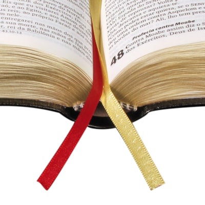 image_5a0cc981-575d-426f-9c0d-87fb8279bd45