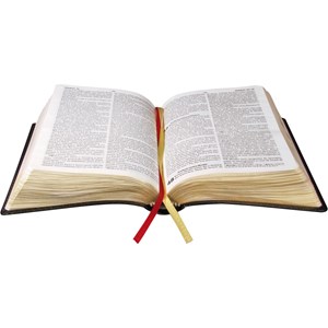 Bíblia do Obreiro Ovelha | ARC | Letra Grande | Capa Luxo Preta