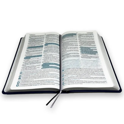 image_e343b2b0-3c06-4c0e-8d61-d7d4052017f8