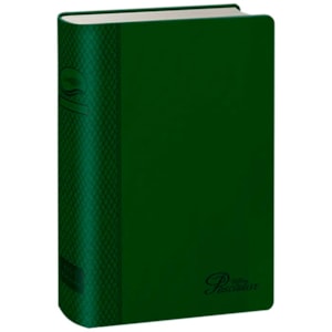 Bíblia do Pescador | Letra Grande | NVI | Capa Verde