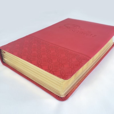 image_295cc5c1-1ab9-4568-8cb8-3b75c44fcfca