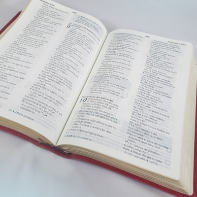 image_96f454dc-e0dc-47e8-968c-16cb32576684