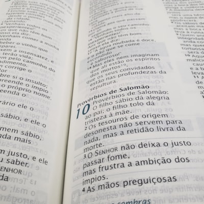 image_a1ca5088-2c1d-4e00-963a-5723d6ecdd89