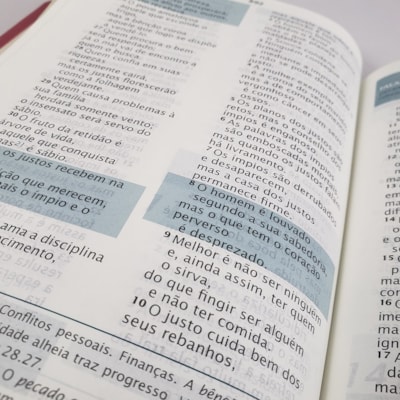 image_b9af1135-ae17-4a0c-a502-e78954aa5019