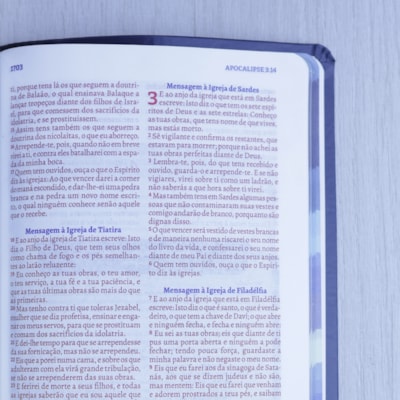 image_6dbedcbe-a15d-418e-a783-d7b55d29c04b