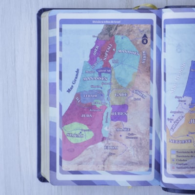 image_67544144-0b44-4e25-bd9f-33bb49b54638