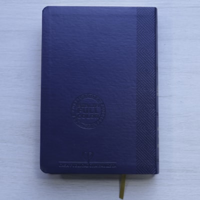 image_ff5c6e30-dc76-45dc-84ae-55e6c4fd41e4