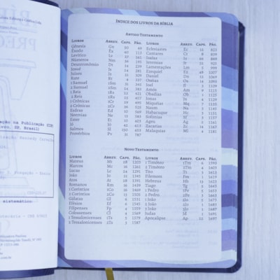 image_d0fdb7dd-7c7e-4f09-aba1-6012ac5fd7a5