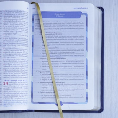 image_7ff86784-9f85-45f3-a73c-da36f9fa53fd