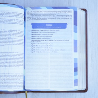 image_8bfddba6-6686-4502-b3c1-720bf2ed9487